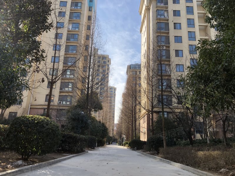 中天花园(西区)