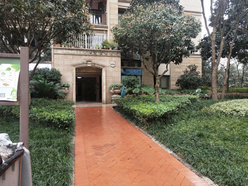 金科10年城西区