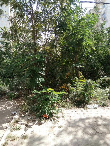 翡翠山庄,晋源南街-太原翡翠山庄二手房,租房,房价-太原安居客