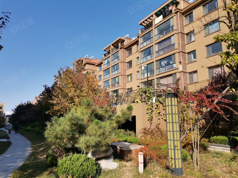 金帝桂都,青山中路-威海金帝桂都二手房,租房,房价-威海安居客