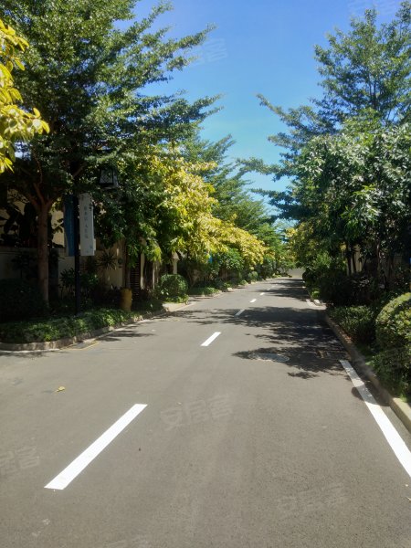 雅居乐海南清水湾(别墅),清水湾大道-三亚雅居乐海南清水湾(别墅)二手