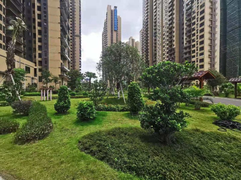 桃源国际,越王大道-河源桃源国际二手房,租房,房价-河源安居客