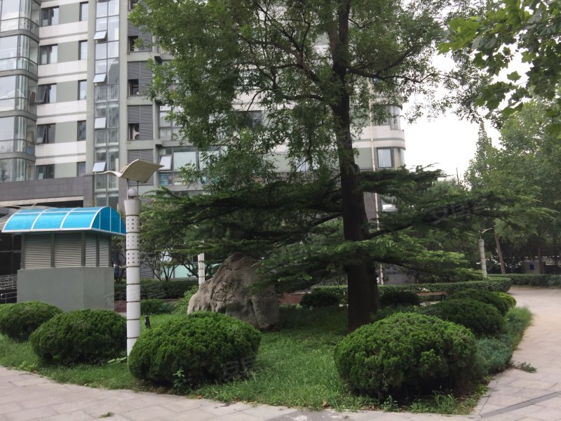 紫云轩10号名邸