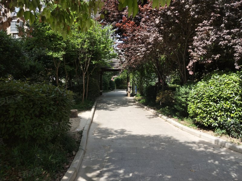 泉水湾花园,北京中路556号-阜阳泉水湾花园二手房,租房,房价-阜阳安居