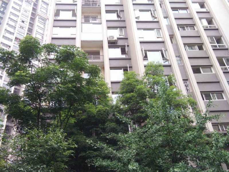 龙城国际,红高路88号-成都龙城国际二手房,租房,房价-成都安居客