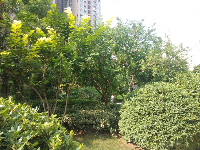 沈庄新城社区,玉凤路361号-衡水沈庄新城社区二手房,租房,房价-衡水