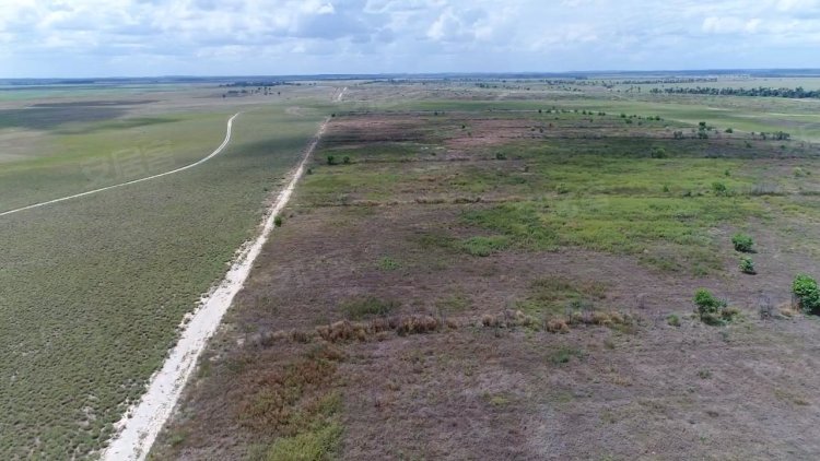巴西约¥230万出售农业用地地块 - 320公顷，巴西二手房土地图片