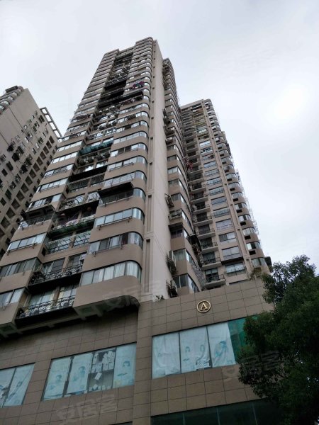 安泰大厦,划龙桥路103号-温州安泰大厦二手房,租房,房价-温州安居客