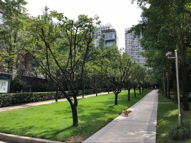 龙湖郦江,求新村4号-衡水龙湖郦江二手房,租房,房价-衡水安居客