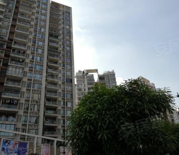 锦绣香江蔷薇园