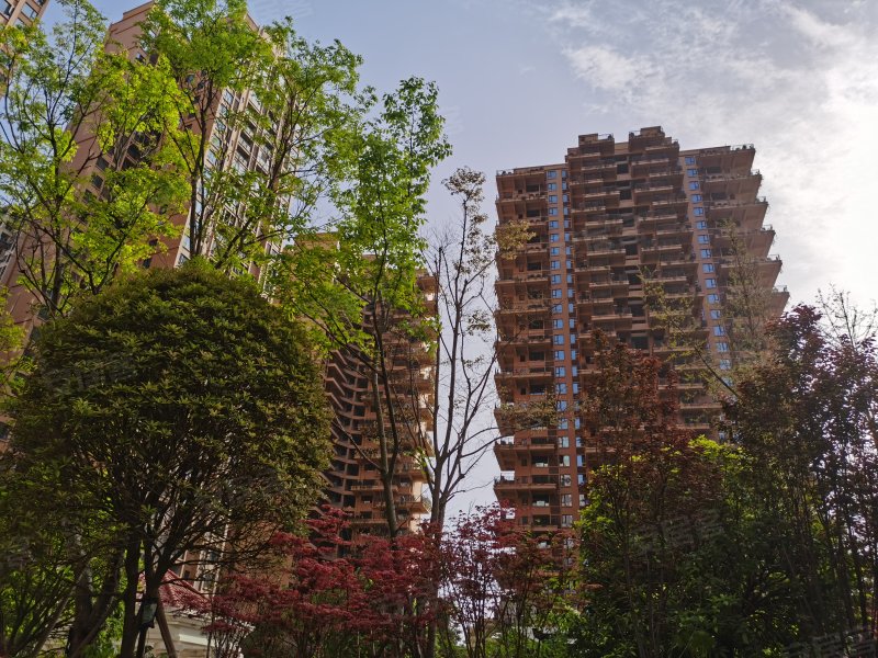 江岸国际,台北金城90号-绵阳江岸国际二手房,租房,房价-绵阳安居客