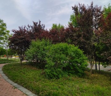 牌坊街61号小区