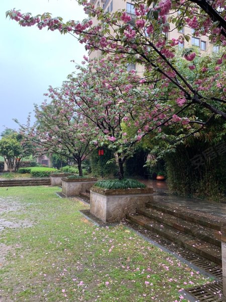 派舍提香,坝头西路305号-宁波派舍提香二手房,租房,房价-宁波安居客