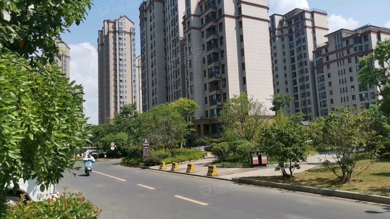 顺达玫瑰园,青通路,近太平路-池州顺达玫瑰园二手房,租房,房价-池州