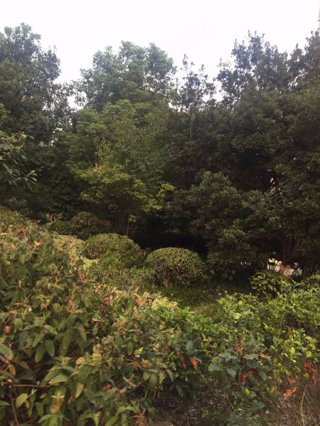 万科四季花城(211弄) 