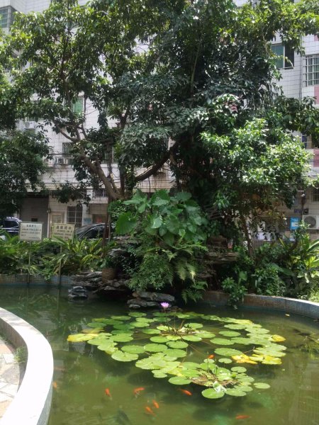 富安花园,荷光路168号大院-广州富安花园二手房,租房,房价-广州安居客