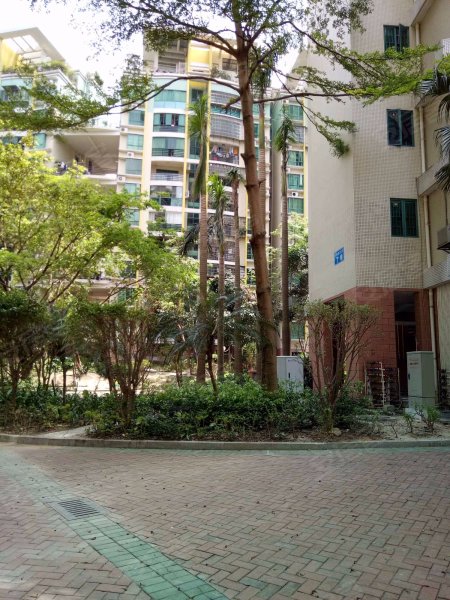 南厦丰泽园(南区),夏美路161号-珠海南厦丰泽园(南区)二手房,租房