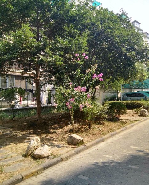 香江花园四期,香港路390号-武汉香江花园四期二手房,租房,房价-武汉