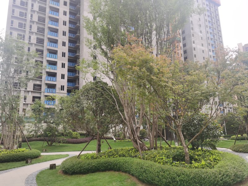 金科郡,寒溪路-郴州金科郡二手房,租房,房价-郴州安居客