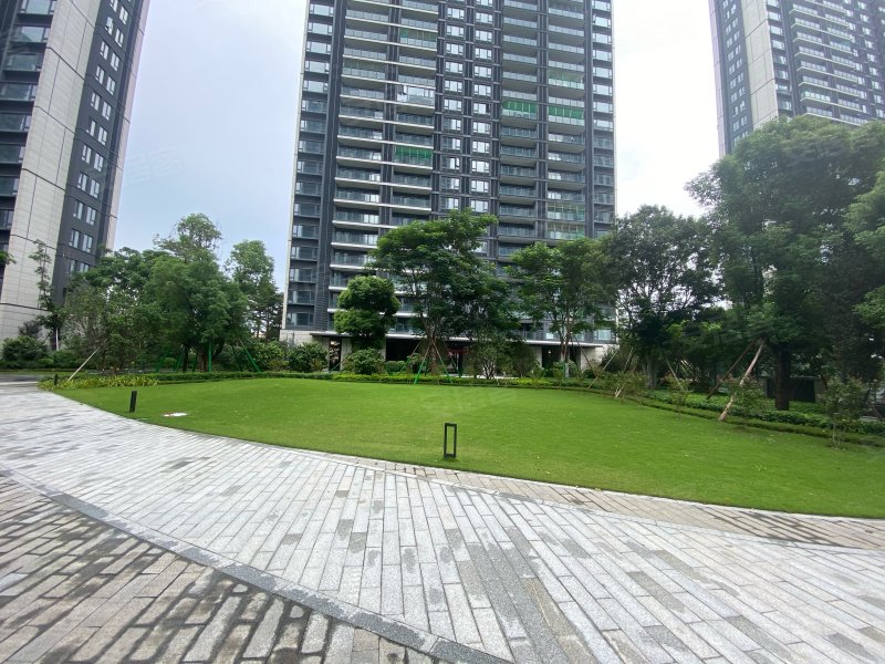 华侨城天鹅堡(顺德),欢乐大道8号-佛山华侨城天鹅堡(顺德)二手房,租房