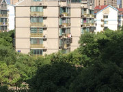 兴隆小区图片