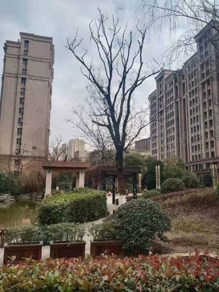 大溪地御倾城,贵池路-合肥大溪地御倾城二手房,租房,房价-合肥安居客