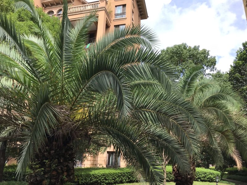 蓝庭花园,台州大道-台州蓝庭花园二手房,租房,房价-台州安居客