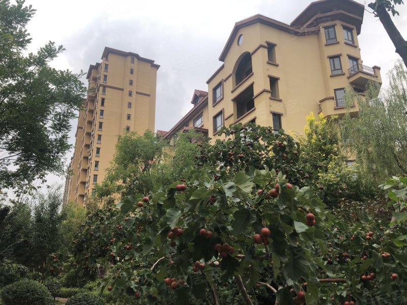 林昌第五郡,金城大街-营口林昌第五郡二手房,租房,房价-营口安居客