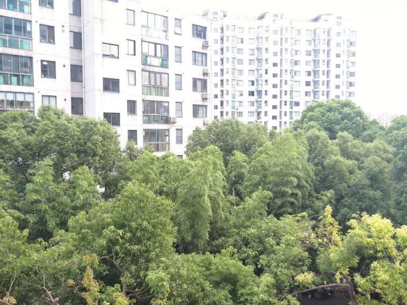 梦景苑,罗秀路1701弄-上海梦景苑二手房,租房,房价-上海安居客