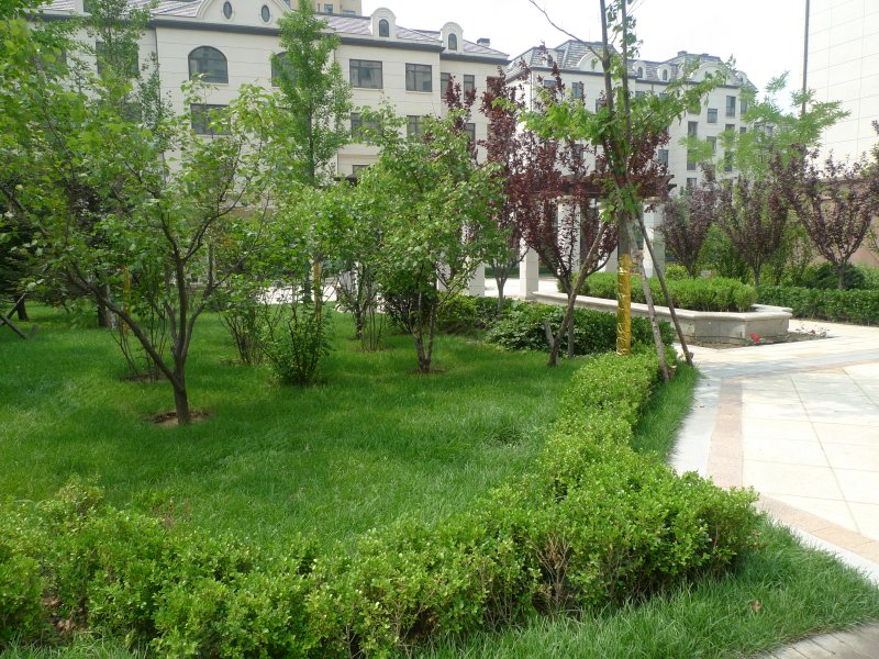 美利山,北金柳路-大连美利山二手房,租房,房价-大连安居客