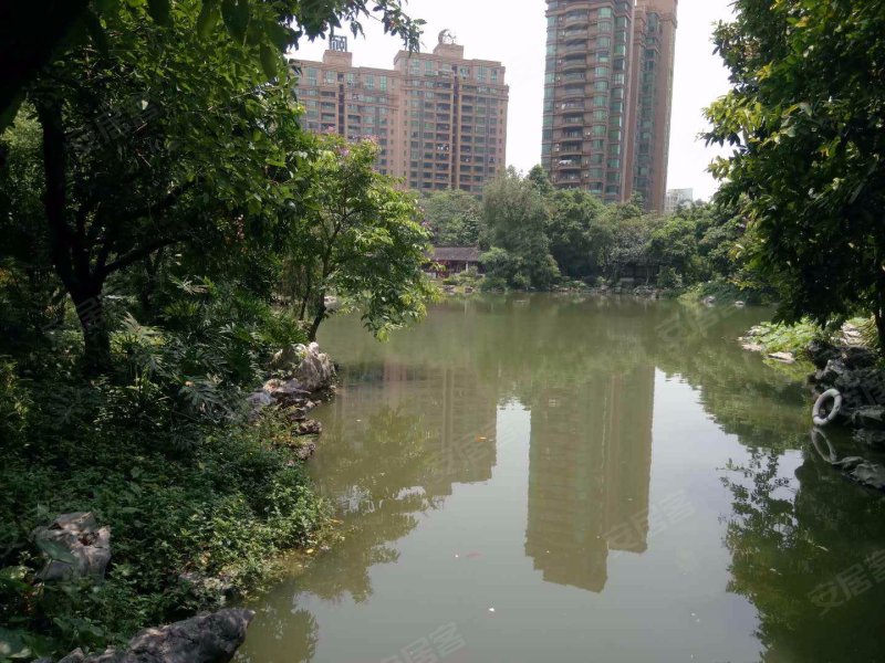 南海颐景园,华翠南路6号-佛山南海颐景园二手房,租房,房价-佛山安居客