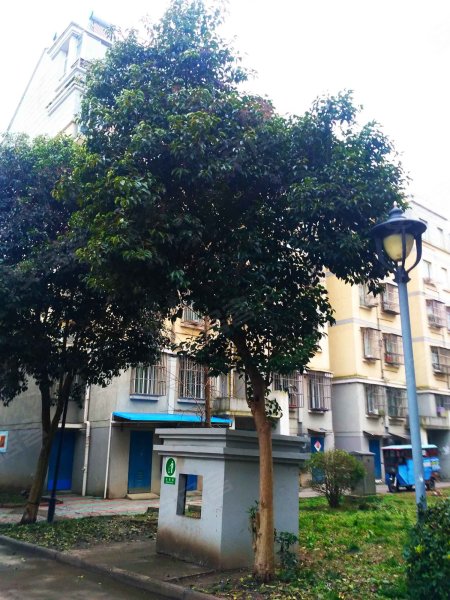 东泰花园,春兰路-泰州东泰花园二手房,租房,房价-泰州安居客