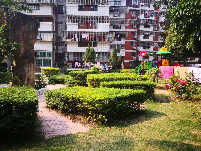 芙蓉苑,嘉园路41,207-273,277-317号-厦门芙蓉苑二手房,租房,房价