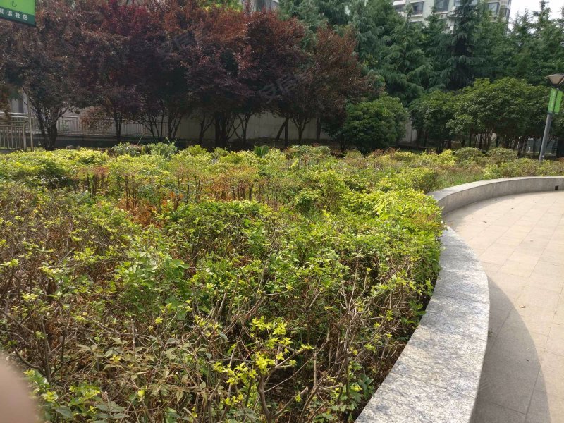 翠竹园b区,清溪路31号-合肥翠竹园b区二手房,租房,房价-合肥安居客