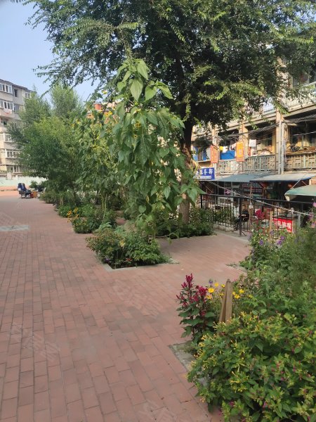 周水前,华北路9号-大连周水前二手房,租房,房价-大连安居客