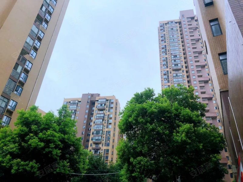 枫桦苇岸(一期),沌口路457号-武汉枫桦苇岸(一期)二手房,租房,房价