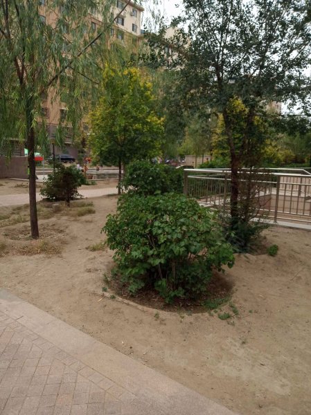 金辉华府,包哈公路-包头金辉华府二手房,租房,房价-包头安居客