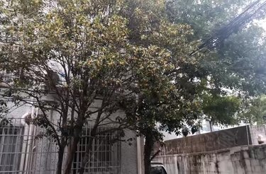 城丰路15弄小区