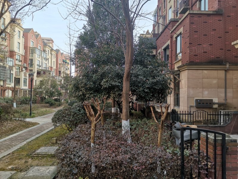 柏庄香域,铜井路2439号-铜陵柏庄香域二手房,租房,房价-铜陵安居客