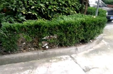 上南三村(138-174号(双))