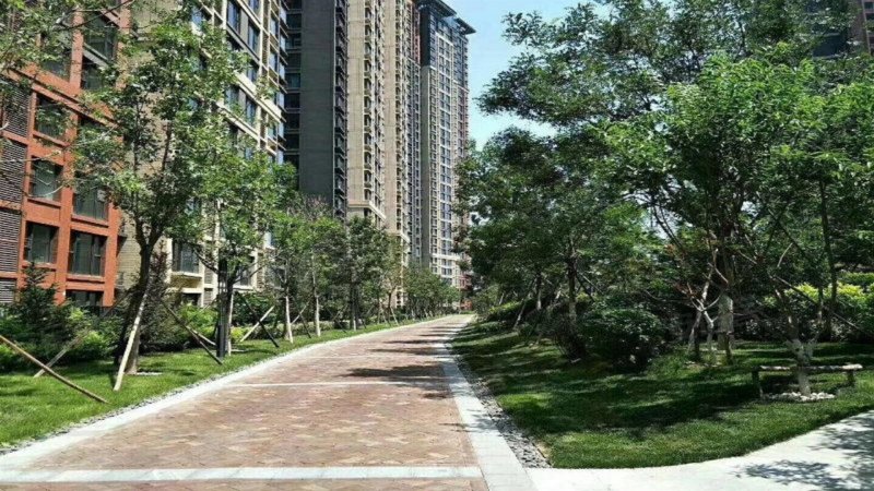 星月湾,海油大街167号