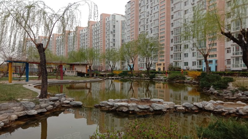 阿尔卡迪亚(广阳)