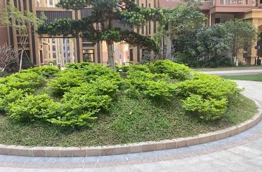 鸿运源壹号公馆,东源大道 - 河源鸿运源壹号公馆二手房,租房,房价