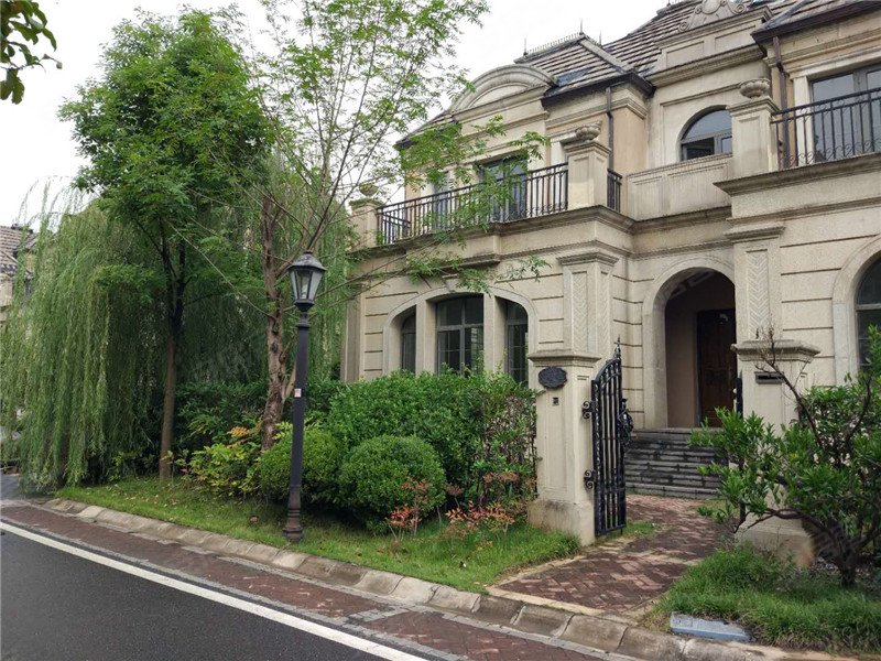 中建汤逊湖壹号(别墅)