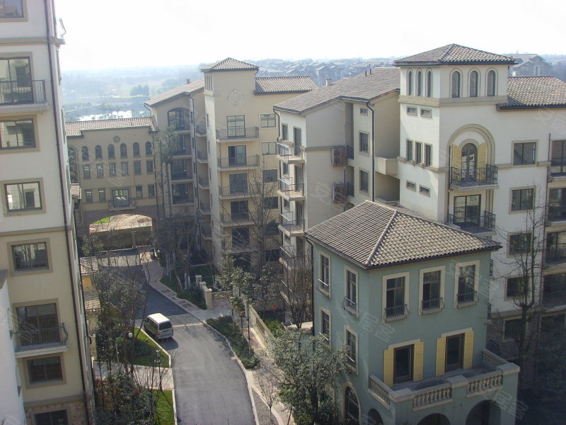 麓山国际帕萨迪纳2组