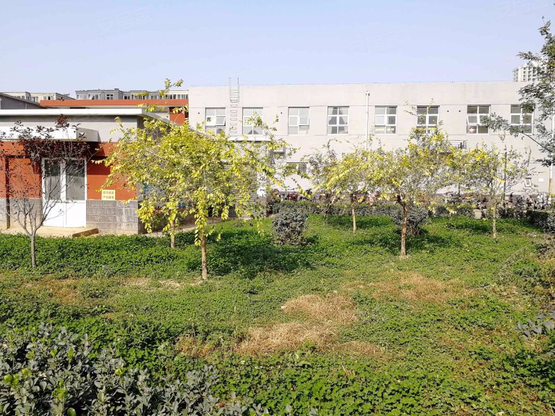 东安小区,仓顺路2号-石家庄东安小区二手房,租房,房价-石家庄安居客