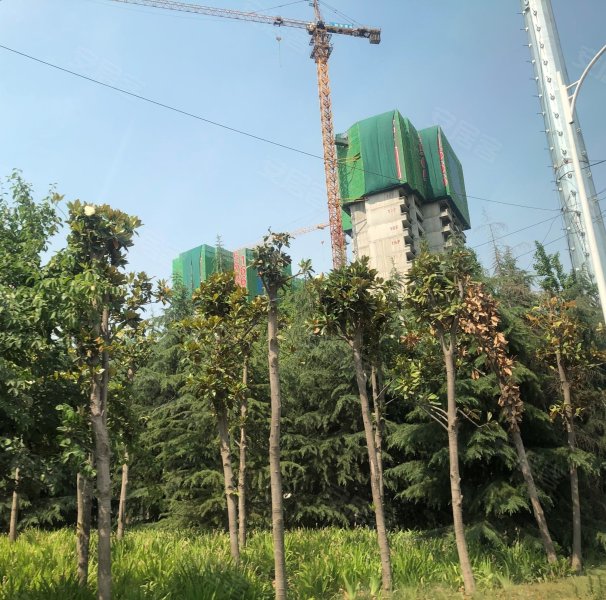 裕华会园,江山路,近纪元路-郑州裕华会园二手房,租房,房价-郑州安居客