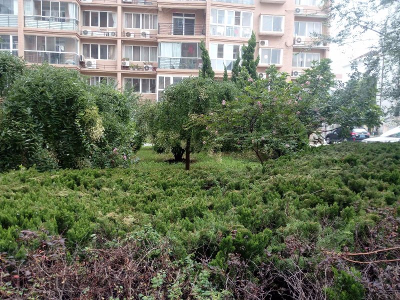 香山花园,香山路8号-烟台香山花园二手房,租房,房价-烟台安居客