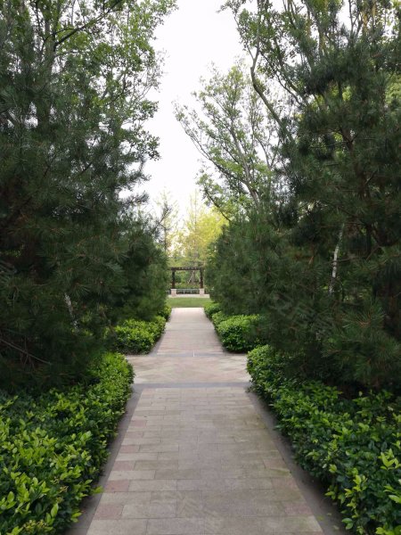 香山美墅,银川西路122号-青岛香山美墅二手房,租房,房价-青岛安居客