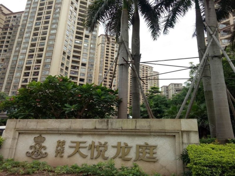 天悦龙庭
